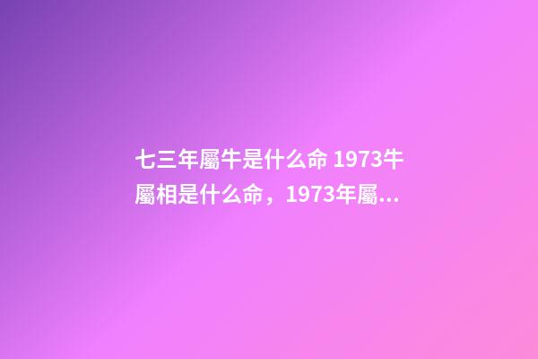 七三年屬牛是什么命 1973牛屬相是什么命，1973年屬牛是什么命運(yùn)-第1張-觀點(diǎn)-玄機(jī)派